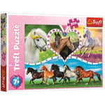 Trefl Puzzle Lepi konji / 200 kosov