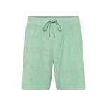 Kratke hlače Polo Ralph Lauren moški, zelena barva - zelena. Kratke hlače iz kolekcije Polo Ralph Lauren. Model izdelan iz tanke, elastične pletenine. Model iz mehke in na otip prijetne tkanine.