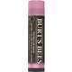 "Burt's Bees Balzam za ustnice z barvnimi pigmenti - Pink Blossom"