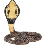 Mojo King Cobra