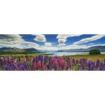 Heye Panoramska sestavljanka Lake Tekapo, Nova Zelandija 1000 kosov