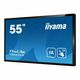 iiyama T5562AS-B1 interaktivni zaslon, 4K, 139 cm, Android OS