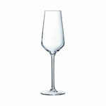 NEW Sploščeni kozarec šampanjec in penina Chef &amp; Sommelier Distinction 6 kosov Steklo (230 ml)