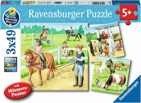 WEBHIDDENBRAND Ravensburger Puzzle - Konji 3 x 49 kosov