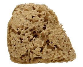 "Cose della Natura Honeycomb-naravna spužva - Majhen