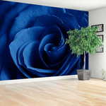tulup.si Stenska fototapeta Modra vrtnica 312x219cm Netkani freski