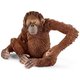 Schleich wild life orangutan, samica
