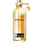 Montale Dark Aoud parfumska voda uniseks 100 ml
