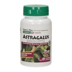 Astragalus - Tragant - 60 veg. Kapsul