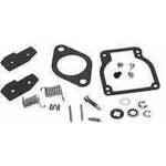 Quicksilver Repair Kit - Carb 1395-96481
