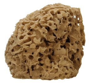 "Cose della Natura Honeycomb-naravna spužva - Medium