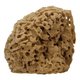 "Cose della Natura Honeycomb-naravna spužva - Medium, 8-10 g"
