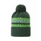 Otroška volnena kapa Reima Pampula zelena barva - zelena. Otroška kapa iz kolekcije Reima. Model izdelan iz vzorčaste pletenine.