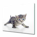 tulup.si Steklena podloga za rezanje Mala mačka 2x30x52 cm