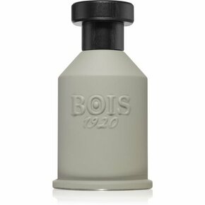 Bois 1920 Itruk parfumska voda uniseks 100 ml