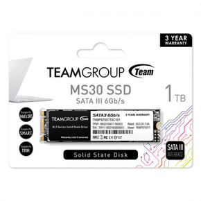 TeamGroup MS30 SSD 1TB