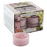 Yankee Candle Aromatične čajne sveče Fresh narezane vrtnice 12 x 9,8, g