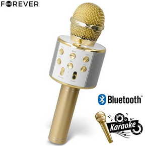 Forever BMS-300 mikrofon z zvočnikom