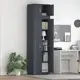 vidaXL Omarica za shranjevanje 2 kos Antracit 60 x 40 x 220 cm Jeklo
