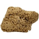 "Cose della Natura Honeycomb-naravna spužva - Velik, 12-14 g"