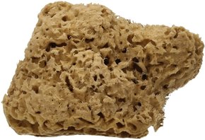"Cose della Natura Honeycomb-naravna spužva - Velik