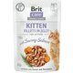 Brit Care Cat Fillets in Jelly Kitten z lososom 85g