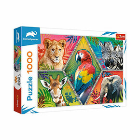 Trefl Puzzle 1000 - Eksotične živali