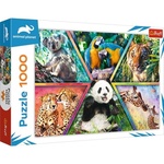 Trefl Puzzle 1000 - Kraljestvo živali