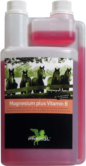 Bense &amp; Eicke Magnezij plus vitamin B - 1.000 ml