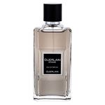 Guerlain Guerlain Homme parfumska voda 100 ml za moške