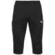 Puma Hlače obutev za trening črna 170 - 175 cm/S Teamliga Training 34 Pants