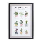 Stenska slika v okvirju Really Nice Things Indoor Plants, 30 x 40 cm