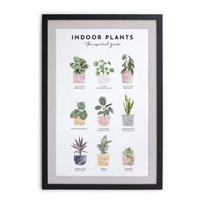 Stenska slika v okvirju Really Nice Things Indoor Plants