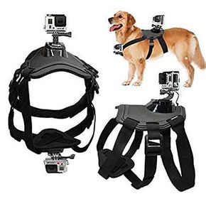 SJCAM nosilec kamere za psa