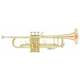 Vincent Bach 180-72G Stradivarius Bb trobenta