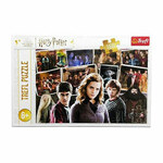 Trefl Puzzle Harry Potter s prijatelji 160 kosov