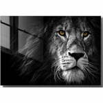 Steklena slika 70x50 cm Lion – Wallity