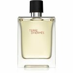 Hermes Terre D`Hermes, moški parfum, toaletna voda, 100 ml