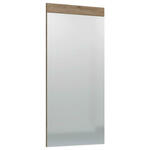 Carryhome OGLEDALO, 50/107/1,9 cm steklo, leseni material