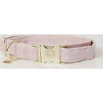 Kentucky Dogwear Pasja ovratnica velvet soft rose - XXS (18-26) cm