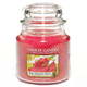 WEBHIDDENBRAND Sveča v steklenem kozarcu Yankee Candle, Sadje rožnatega zmaja, 410 g