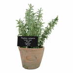 Umetna rastlina (višina 21,5 cm) Thyme – Esschert Design