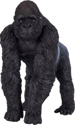 Mojo Silverback samec gorile