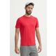 Bombažna kratka majica Napapijri SALIS moška, rdeča barva, NP0A4H8DR251 - rdeča. Kratka majica iz kolekcije Napapijri, izdelana iz elastične pletenine. Model iz izjemno udobne bombažne tkanine.