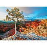 WEBHIDDENBRAND Winter Dawn Puzzle, Bryce Canyon (HDR) 1000 kosov