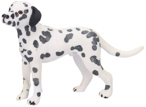 Dalmatinski pes