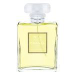Chanel No. 19 Poudre parfumska voda 100 ml za ženske