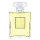 Chanel No. 19 Poudre parfumska voda 100 ml za ženske