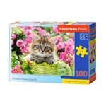 WEBHIDDENBRAND CASTORLAND Puzzle Mačka v cvetličnem vrtu 100 kosov