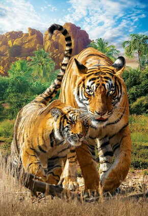 WEBHIDDENBRAND EUROGRAFIJA Puzzle Rešimo naš planet: Tigri XL 250 kosov